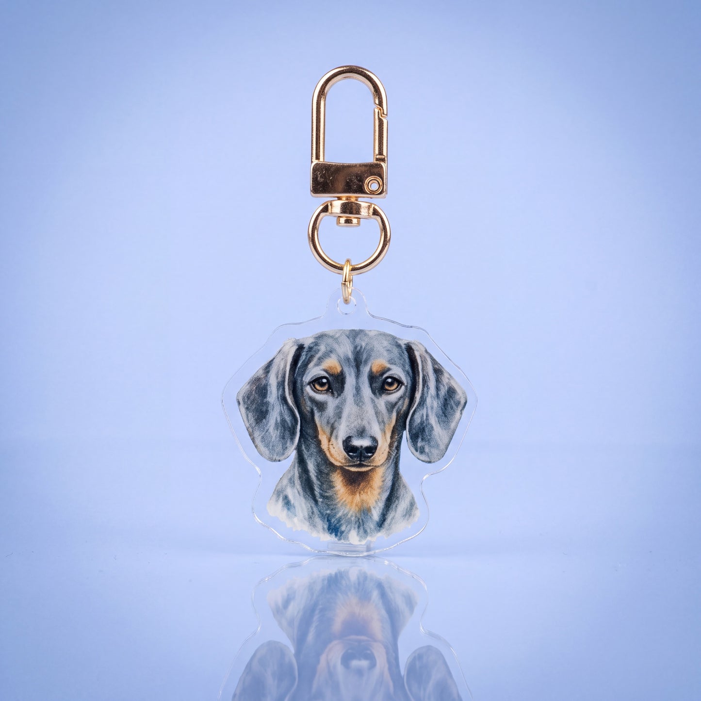 Acryl sleutelhanger met blue and tan kortharige teckel voor teckelbaasjes