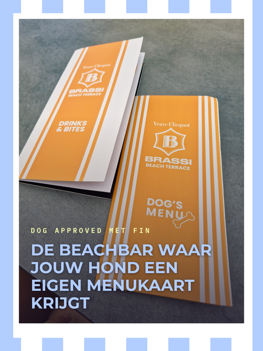 DOG APPROVED met Fin: Brassi Beach Terrace in Oostende