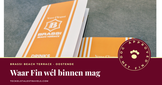 DOG APPROVED met Fin - Brassi Beach Terrace in Oostende, hondvriendelijk terras