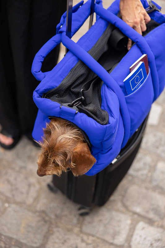 Teckel kijkt door de opening vooraan van de blauwe Weloca reistas, bovenop een trolley