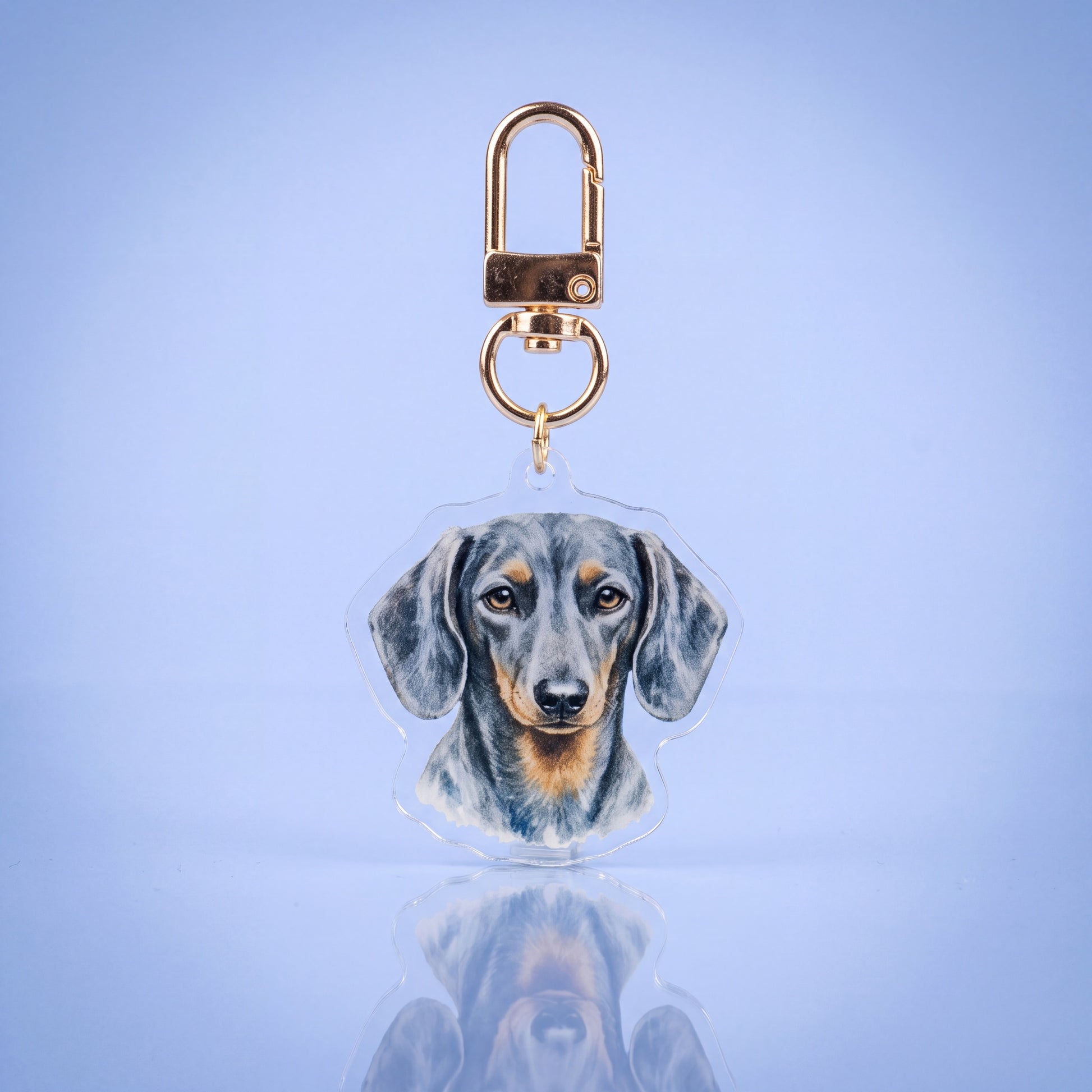 Acryl sleutelhanger met blue and tan kortharige teckel voor teckelbaasjes