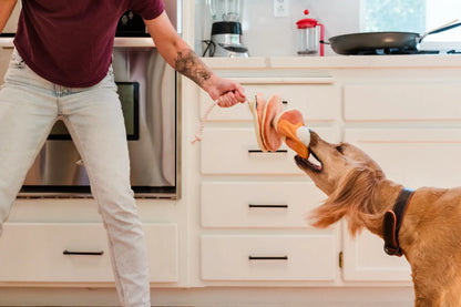 Hond speelt in de keuken met het pannenkoeken hondenspeeltje van P.L.A.Y.