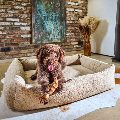 Hond in mand speelt met rendier touwspeeltje, kerstspeelgoed voor honden