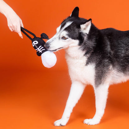 Hond trekt aan de touwarm van het skelet hondenspeeltje van Fringe Studio