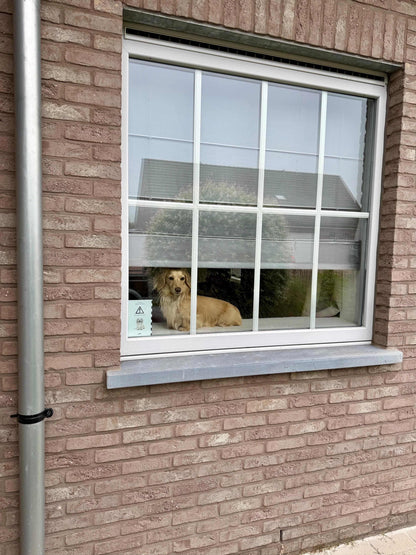 hulpdienstenplaatje aluminium – Red mijn huisdier bordje – gepersonaliseerd noodplaatje voor huisdier aan raam