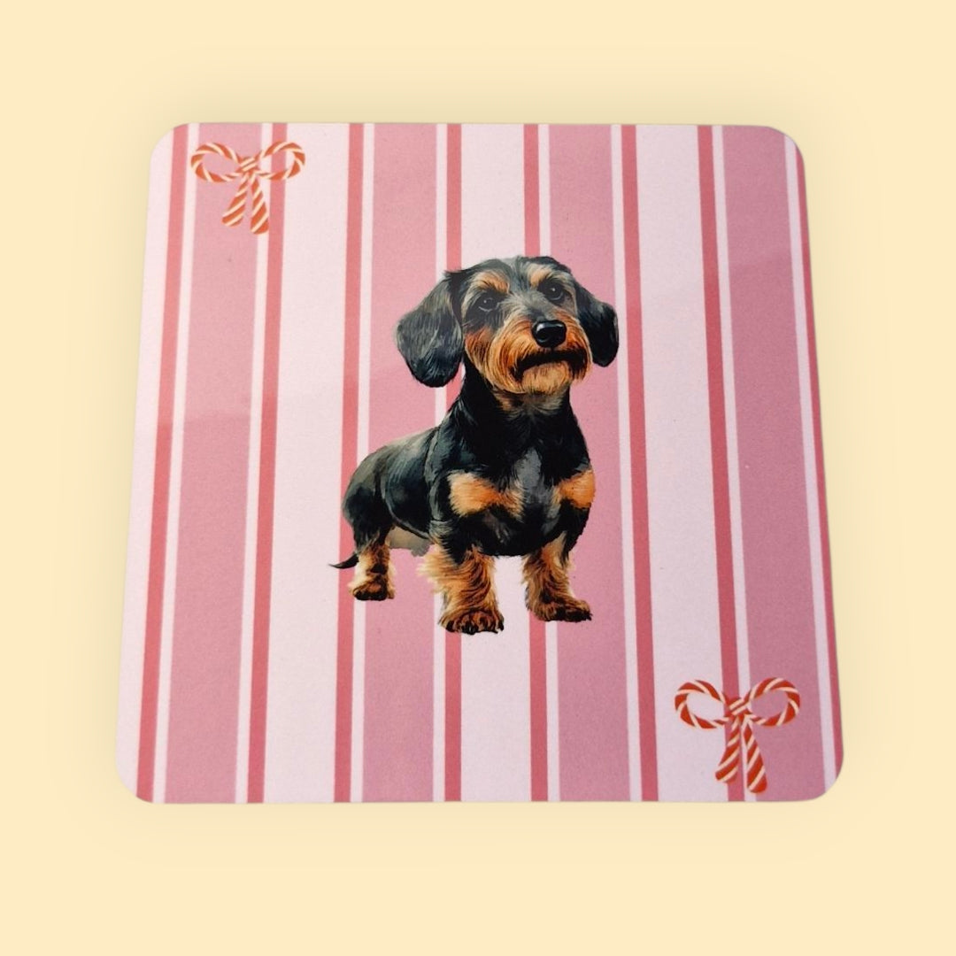 Kerst Onderzetter Roze Gestreept met Strikjes - ruwharige black & tan teckel