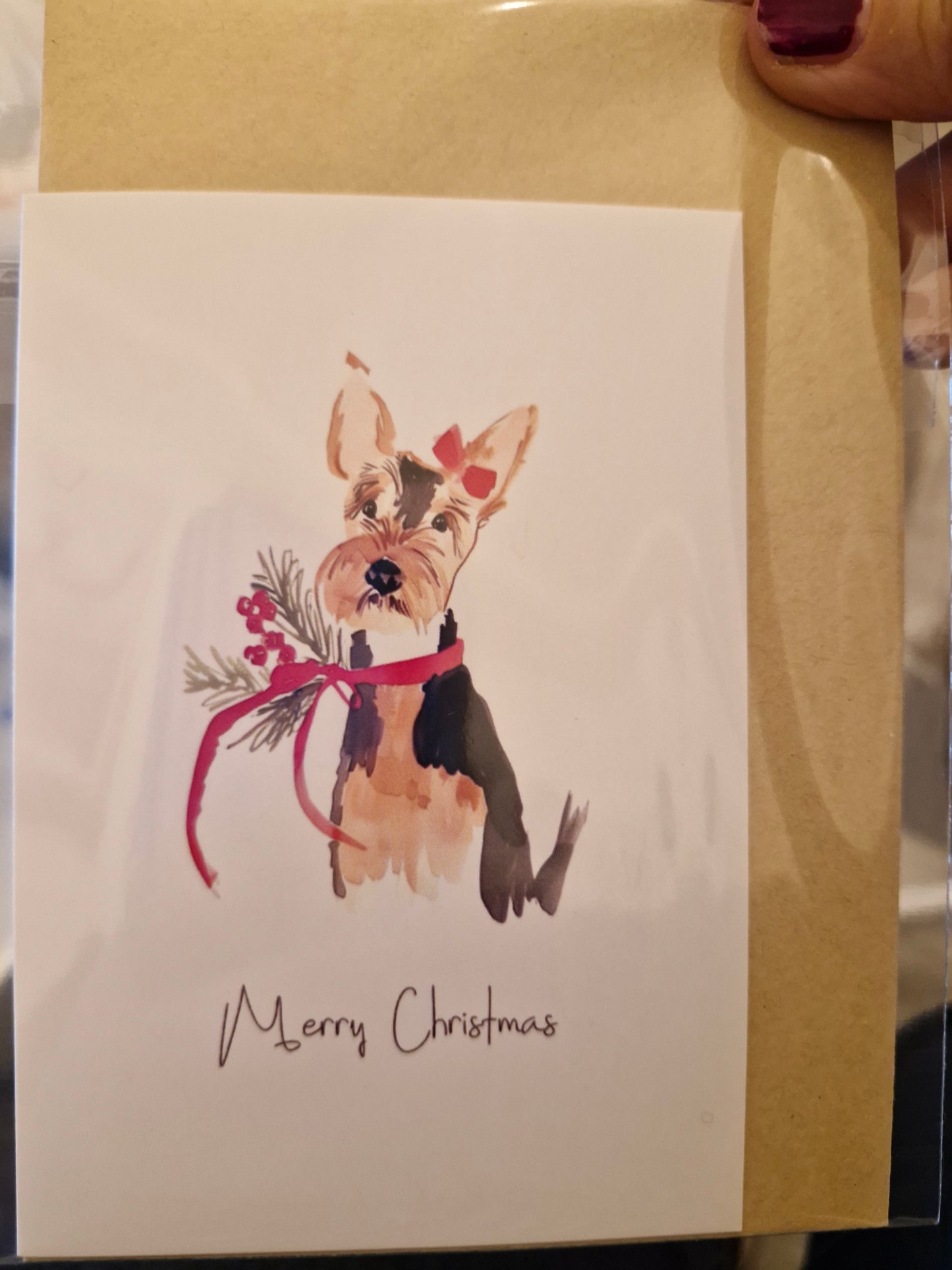 Wenskaart Dubbel Gevouwen - Merry Christmas Schnauzer