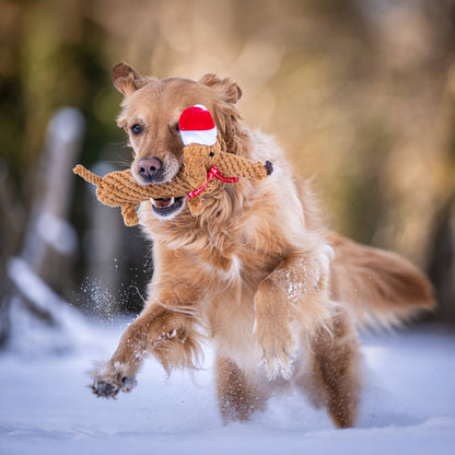 Golden retriever rent door de sneeuw met kerstteckel touwspeeltje in de bek