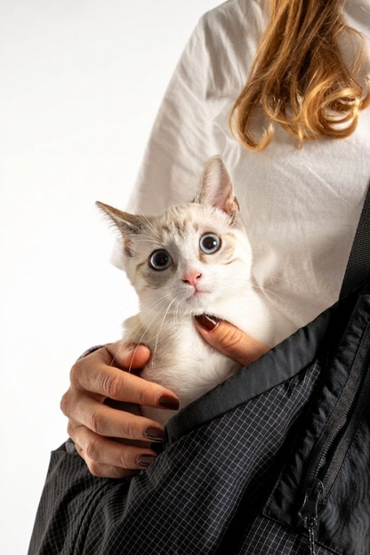 Witte kat in de zwarte Weloca draagtas, ook geschikt voor katten tot 8,5 kg