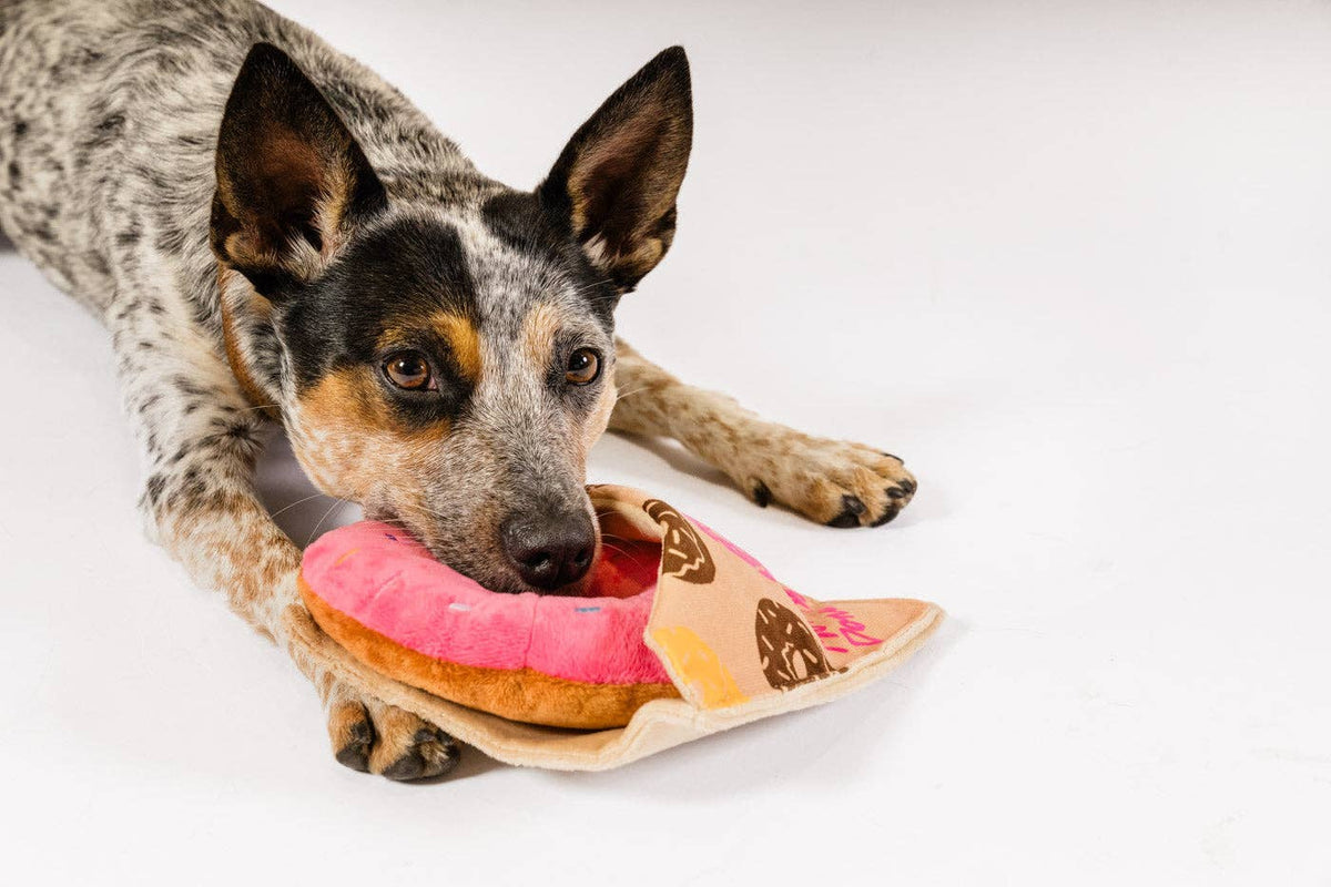 Hond kauwt op de roze pluche donut hondenknuffel met knisperzakje