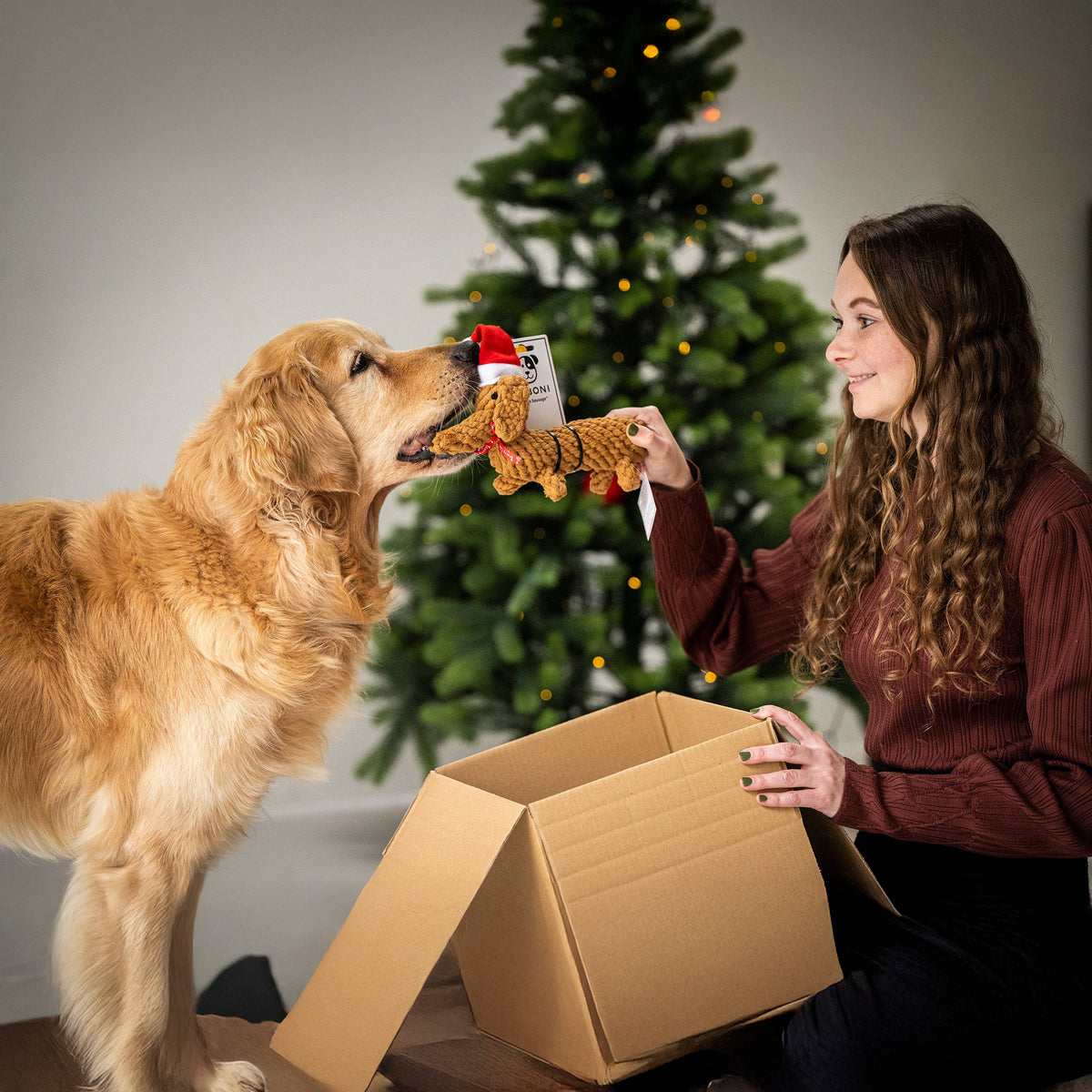 Vrouw geeft hond een kerstteckel touwspeeltje uit een kerstpakket