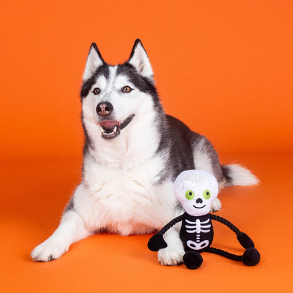 Husky ligt naast het pluche skelet hondenspeeltje voor Halloween
