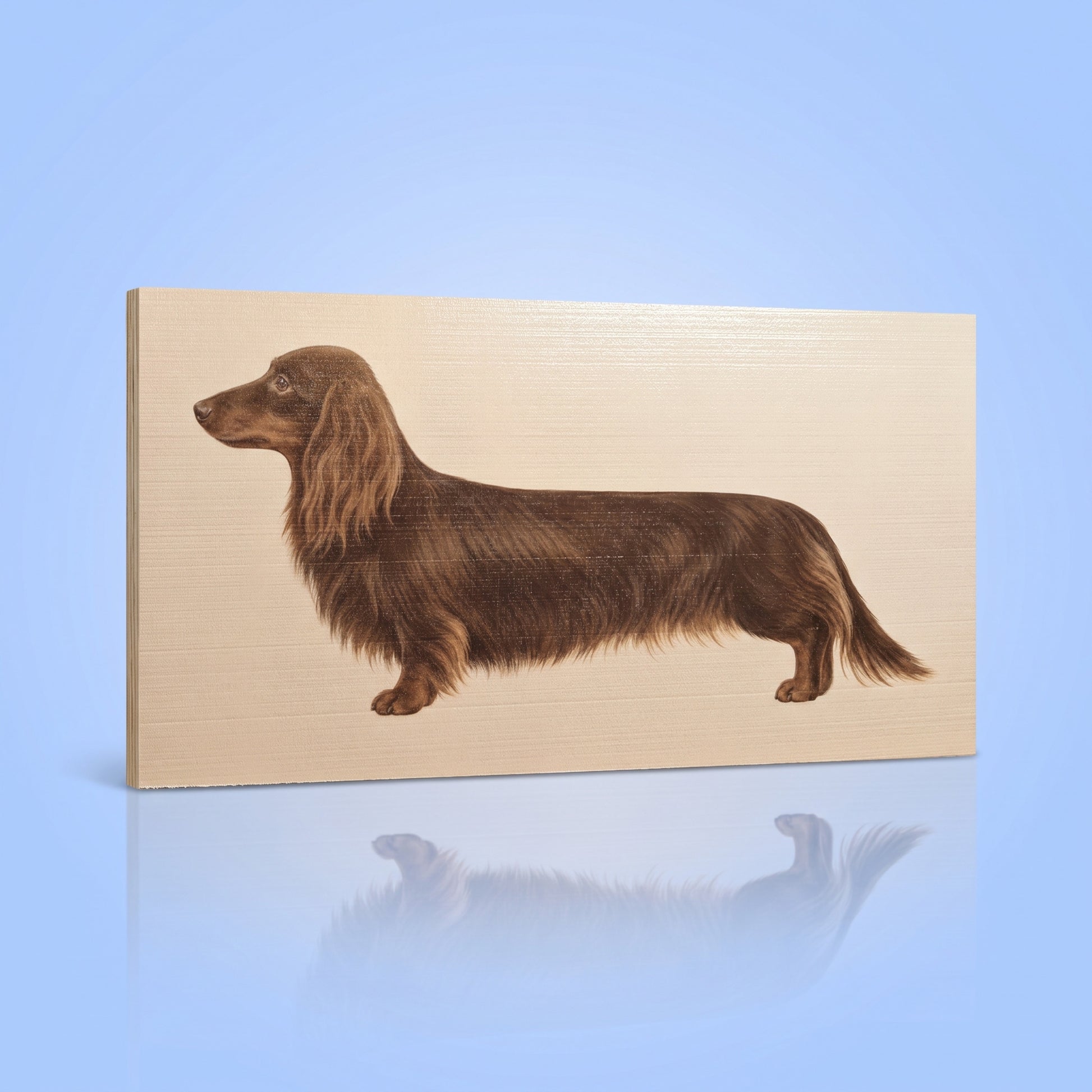 Langhaar chocolate teckel houtprint 15x30 cm wanddecoratie teckelliefhebber