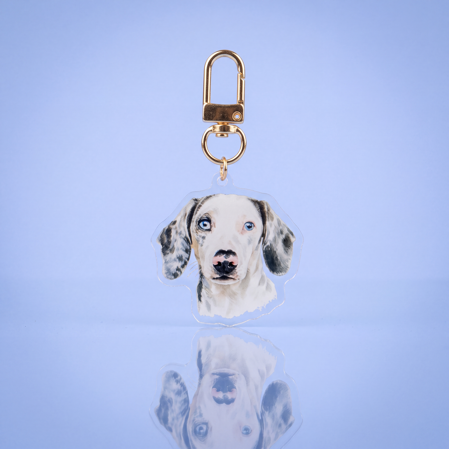 Sleutelhanger met eigen huisdier op helder acryl met gouden karabijnhaak