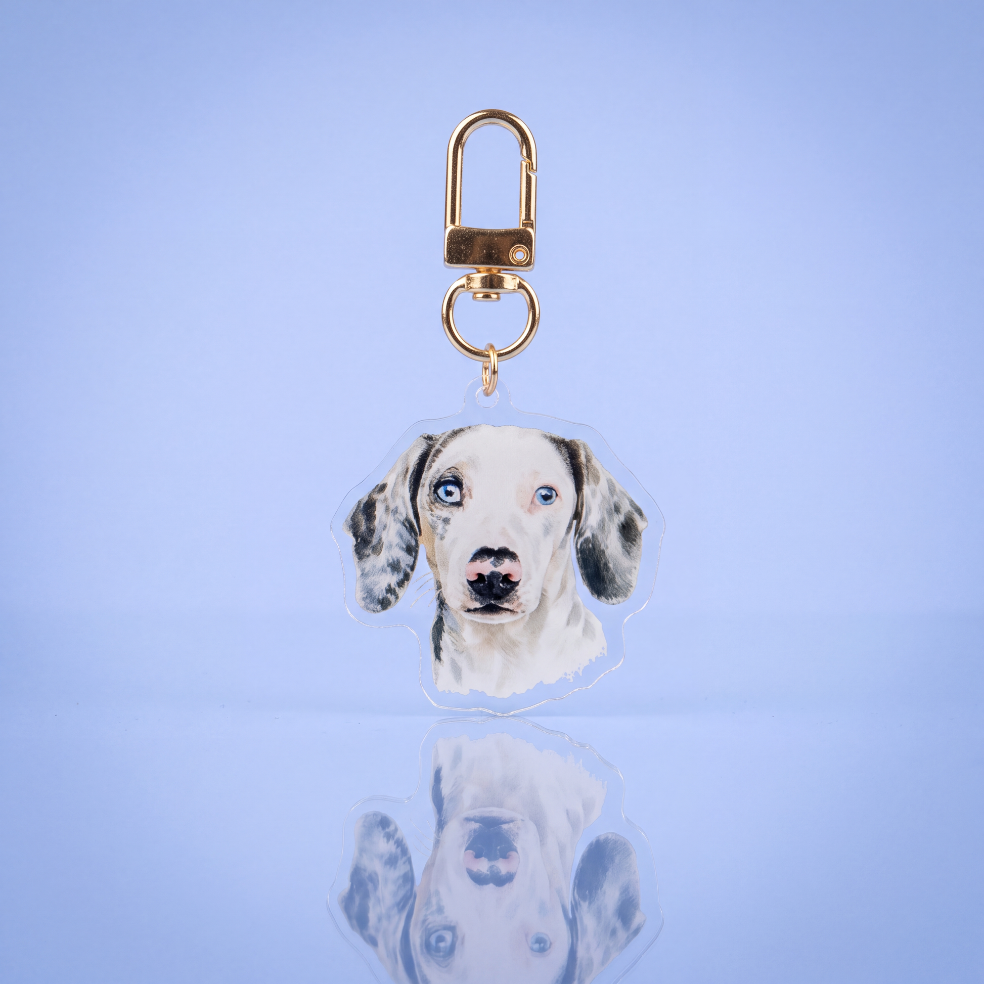Sleutelhanger met eigen huisdier op helder acryl met gouden karabijnhaak