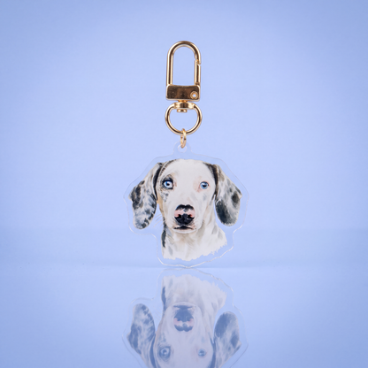 Sleutelhanger met eigen huisdier op helder acryl met gouden karabijnhaak