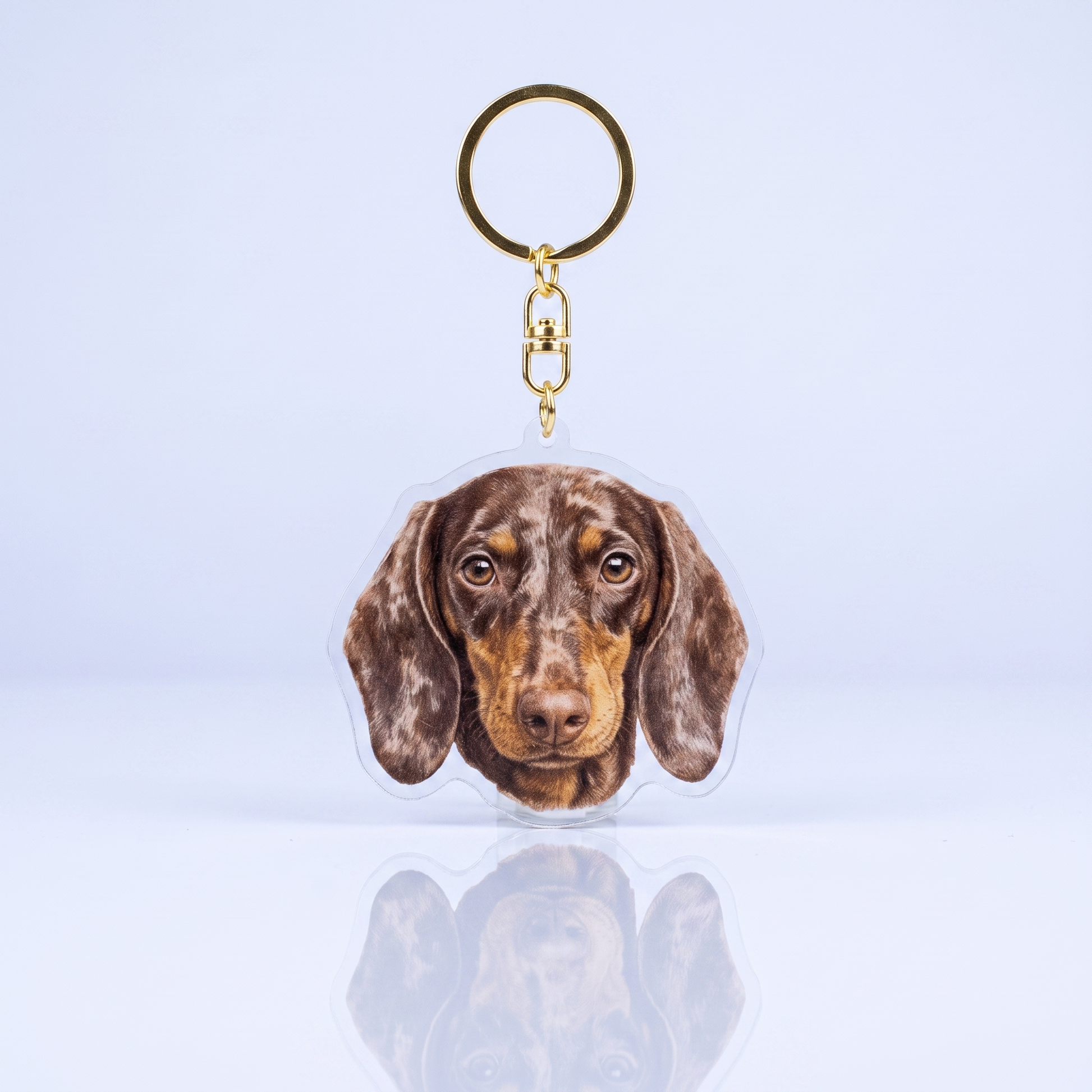 Acrylic sleutelhanger met chocolade en tan gekleurde korthaar teckelkop