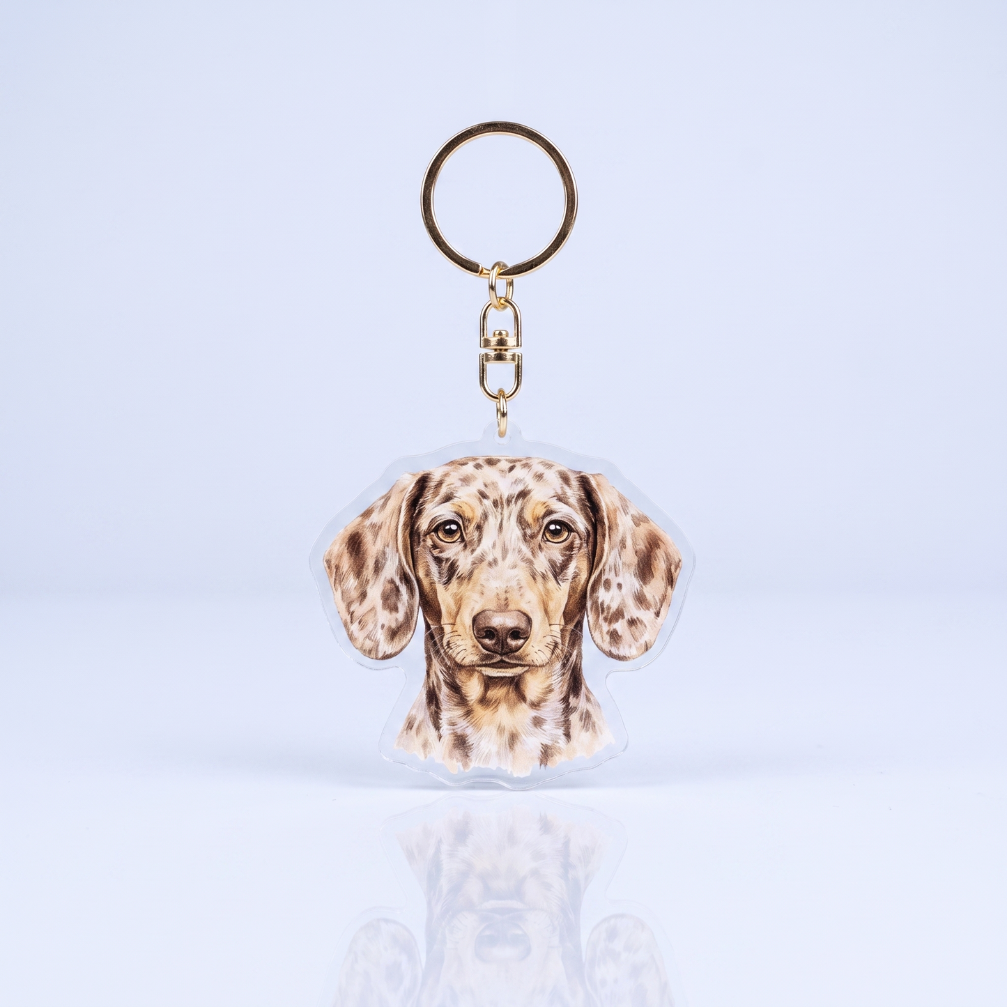 Acrylic sleutelhanger met chocolade dapple korthaar teckelkop in aquarelstijl