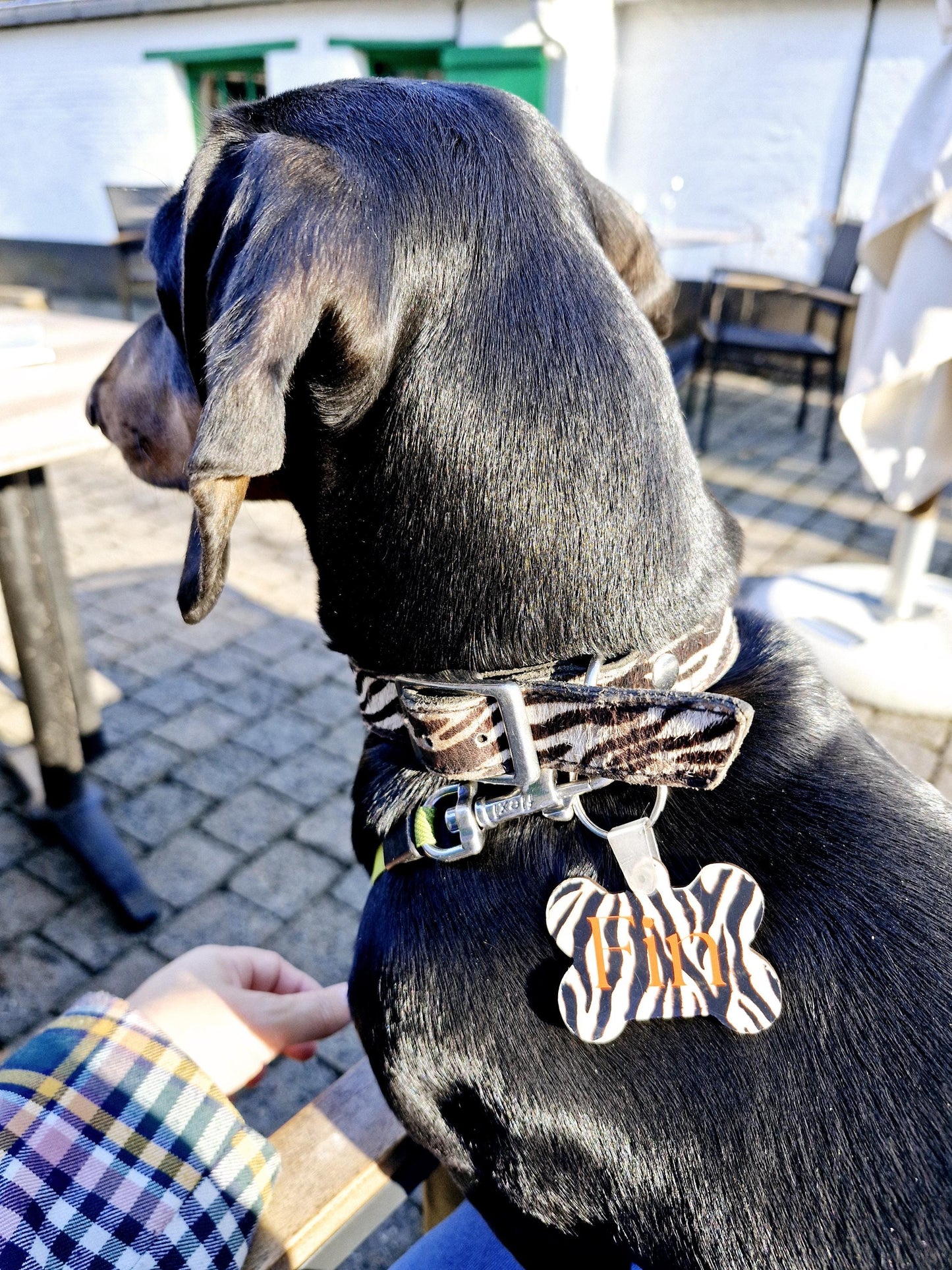 Personalized Dog Tag  Zebra Print  Custom Pet ID Tag  Stylish & Durable  Multiple Backgrounds Available