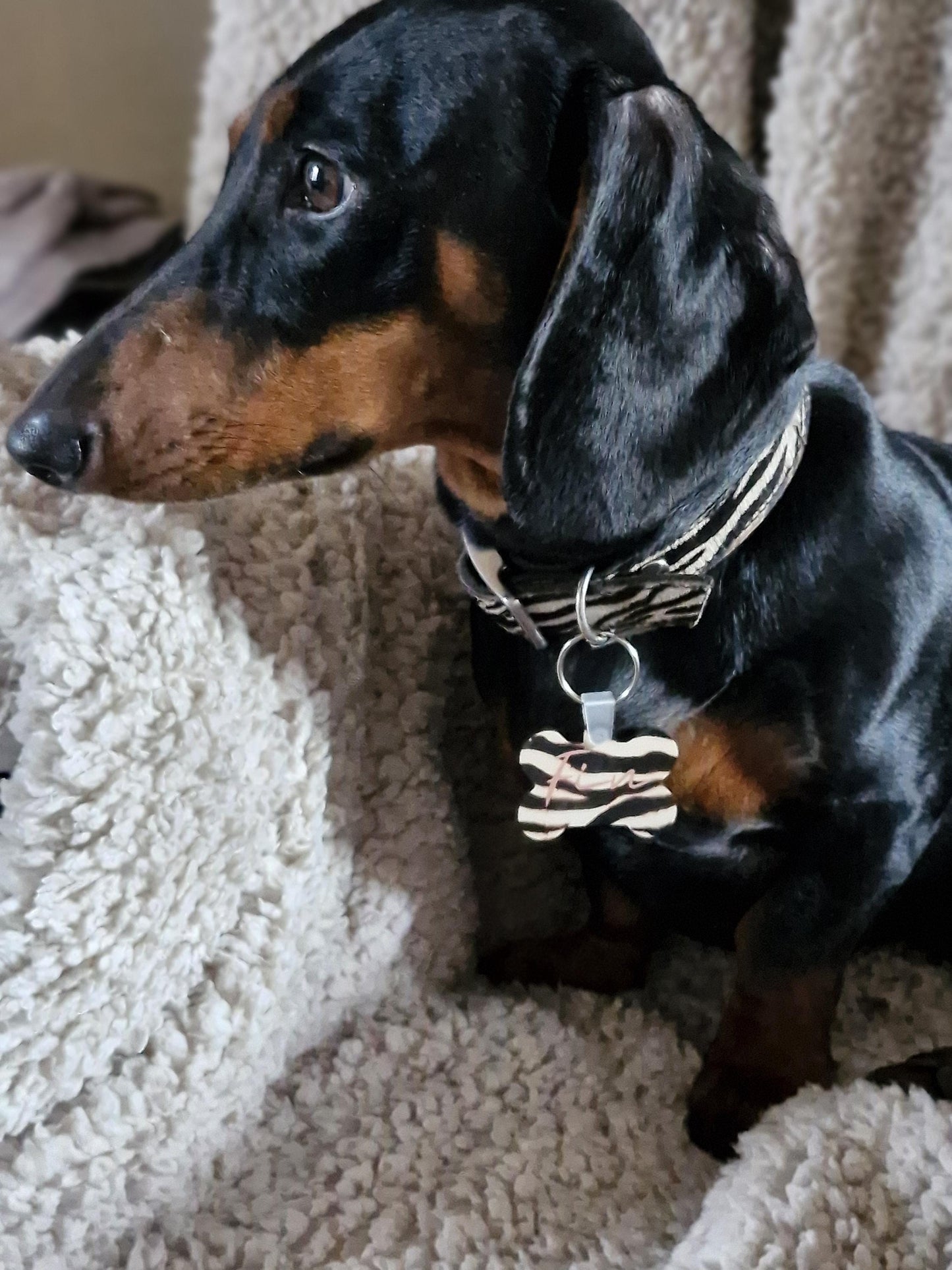 Personalized Dog Tag  Zebra Print  Custom Pet ID Tag  Stylish & Durable  Multiple Backgrounds Available