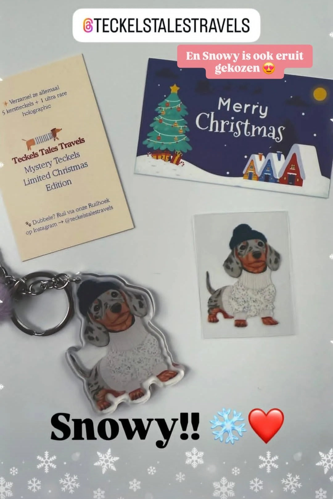 inhoud wat er alemaal in een mystery teckel bag zit, sleutelhanger, sticker, scratch card, een kaartje met het karakter van je mystery teckel