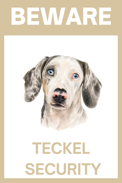Waakbord witte dapple teckel - bordkleur beige