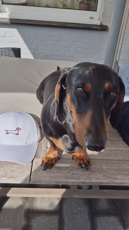 Teckel Pet Geborduurd - Baseball Cap met Dachshund