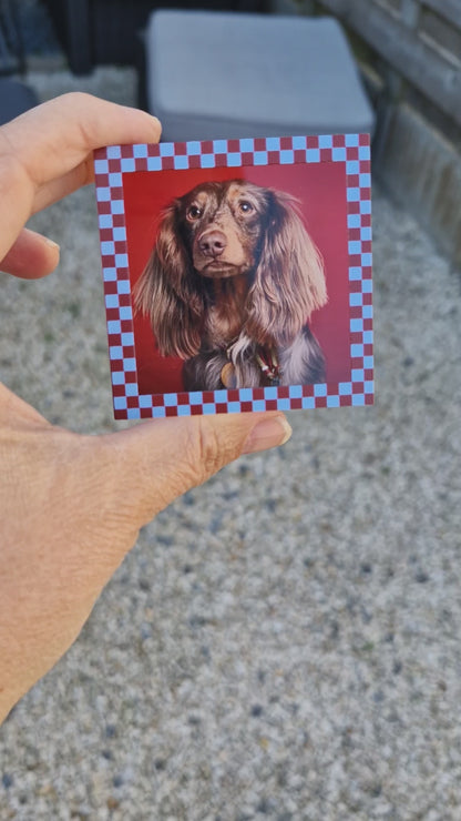 Video van Gepersonaliseerd acryl fotoblok met 3D effect – hond op blokje formaat 6x6x2,6cm