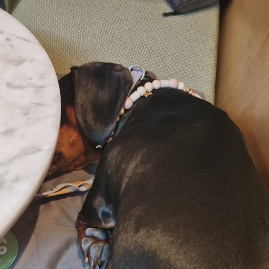 Video van Gepersonaliseerd acryl fotoblok met 3D effect – hond op blokje formaat 6x6x2,6cm