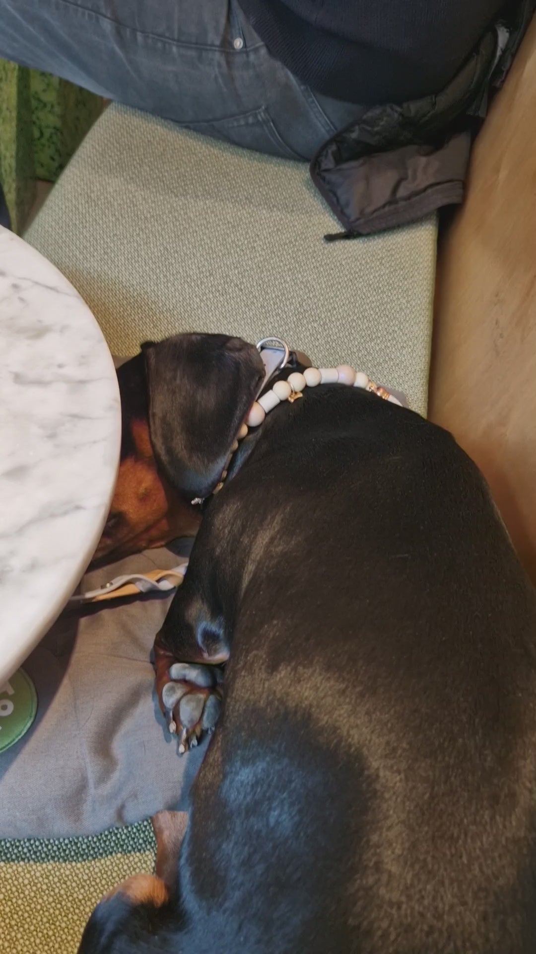 Video van Gepersonaliseerd acryl fotoblok met 3D effect – hond op blokje formaat 6x6x2,6cm
