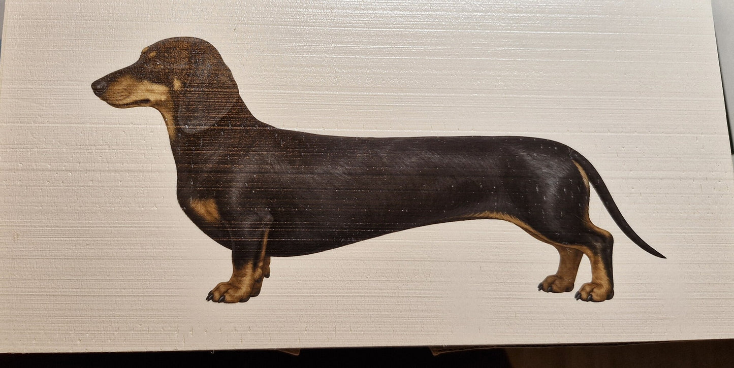 Houten print met kortharige black en tan teckel illustratie