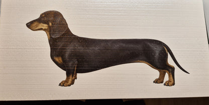 Houten print met kortharige black en tan teckel illustratie