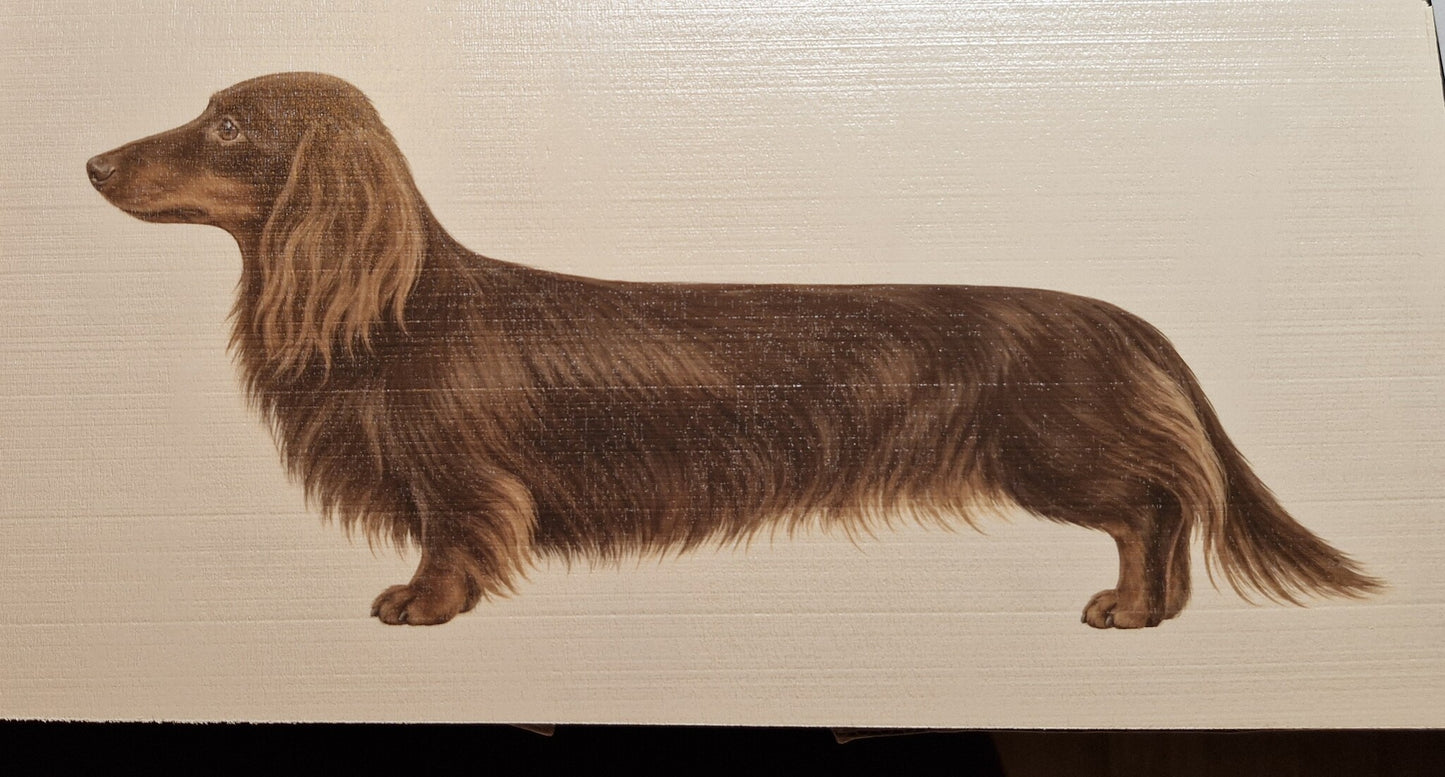 Houten print met langharige chocolate teckel illustratie