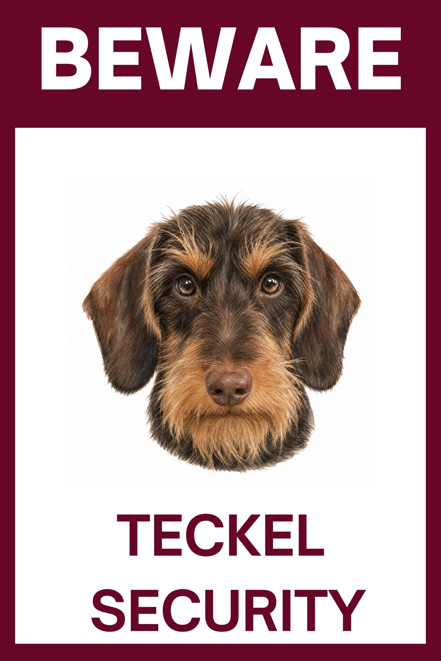 Waakbord teckel ruwhaar choco - bordkleur bordeaux