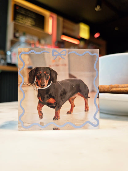 Gepersonaliseerd acryl fotoblok met 3D effect – hond op blokje formaat 6x6x2,6cm