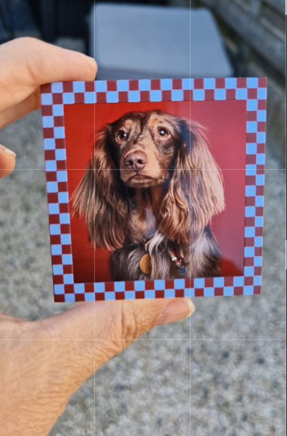 Gepersonaliseerd acryl fotoblok met 3D effect – hond op blokje formaat 6x6x2,6cm