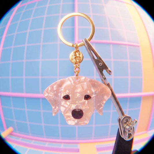 Acryl sleutelhanger blonde Labrador – holografisch effect & stainless steel ring