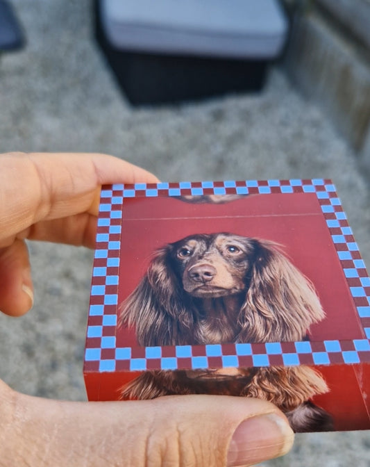 Gepersonaliseerd acryl fotoblok met 3D effect – hond op blokje formaat 6x6x2,6cm