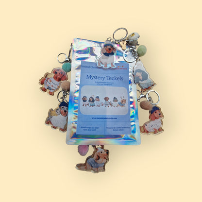Mystery Teckels - Holografische Blind Box