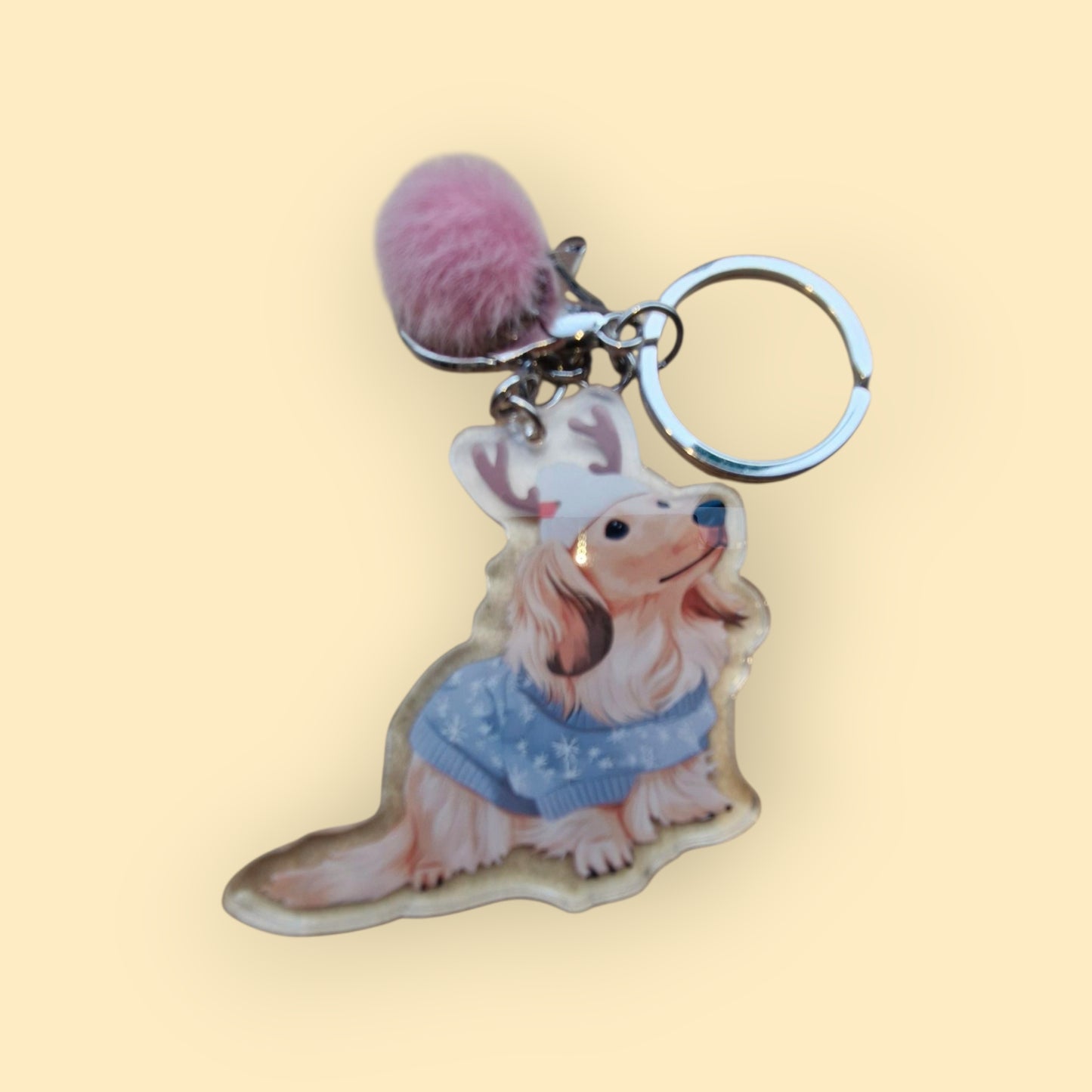 Mystery Teckels - Holografische Blind Box