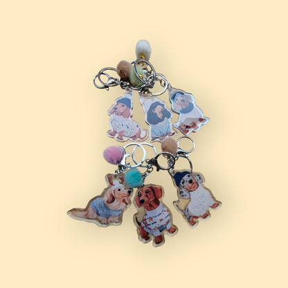 Mystery Teckels - Holografische Blind Box