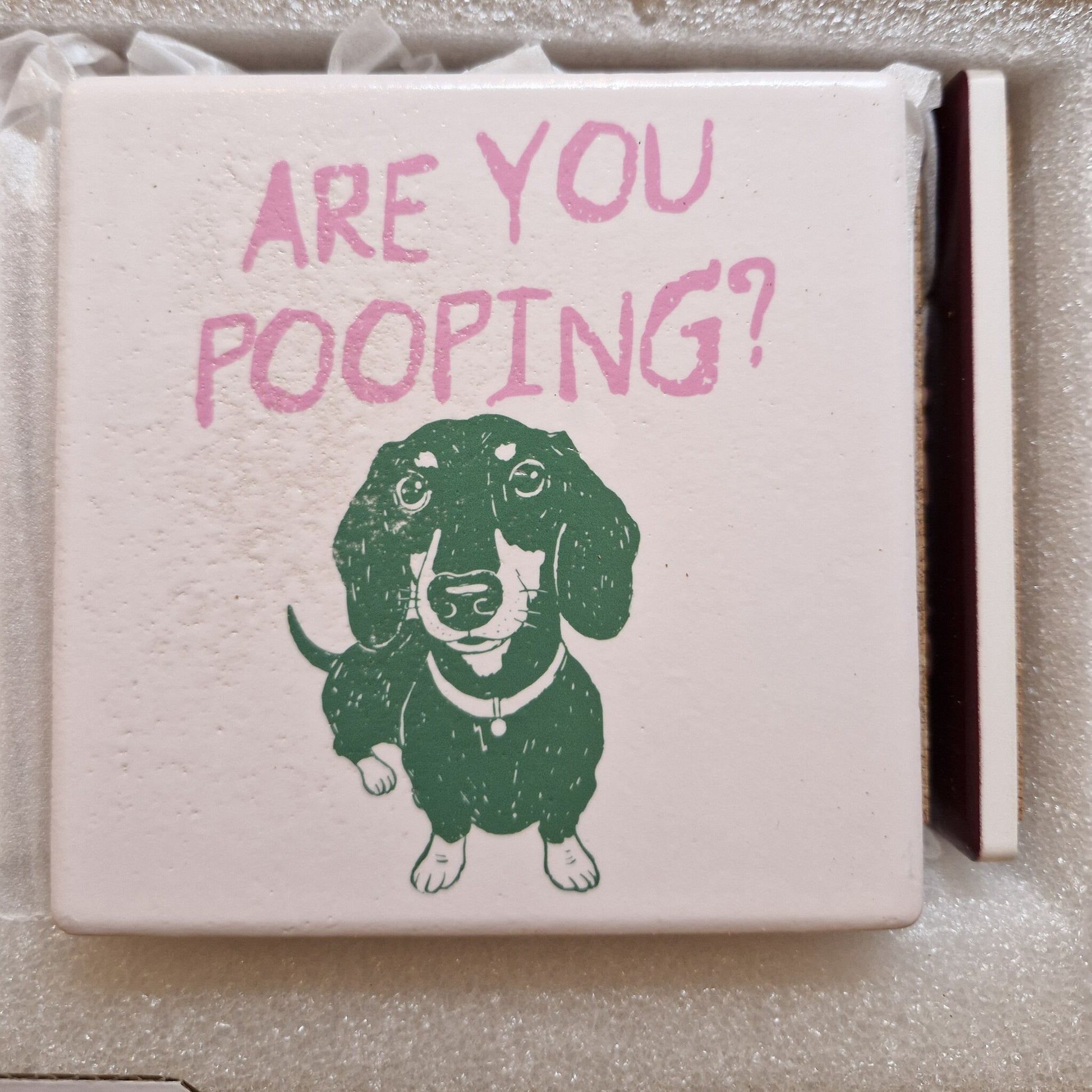 Keramisch tegeltje Are You Pooping met teckel illustratie voor toilet hondenliefhebbers